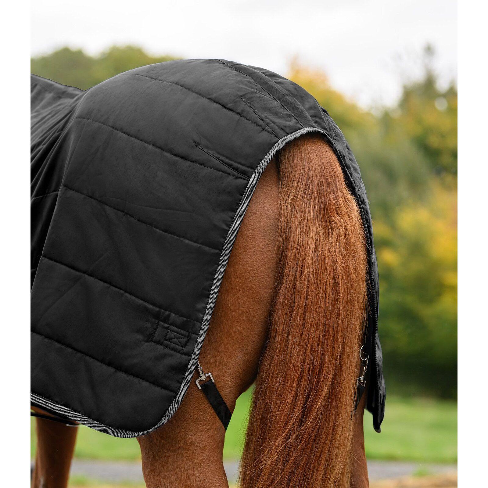 Paardendeken Waldhausen Economic 100g 5/5