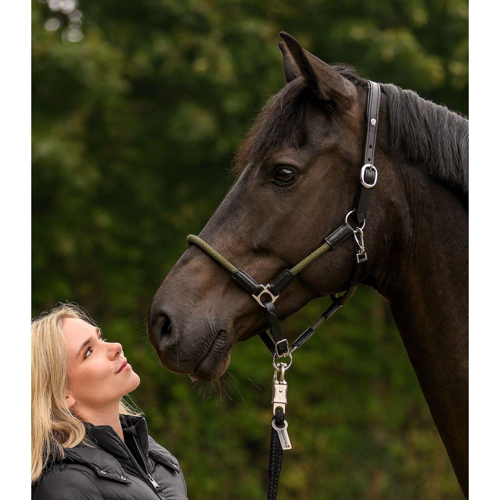 Licol pour cheval Waldhausen X-Line Nevada 3/3