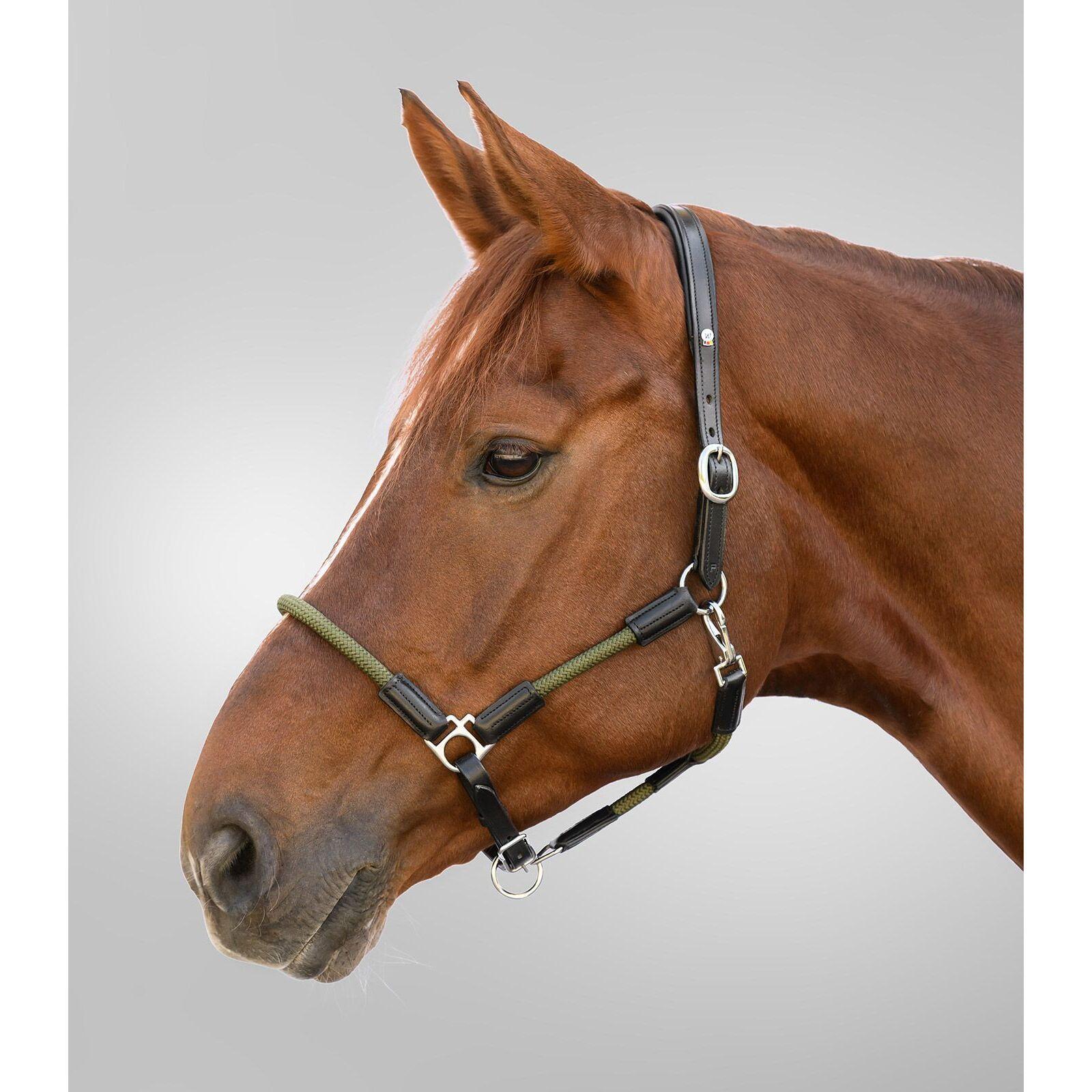 Licol pour cheval Waldhausen X-Line Nevada 2/3