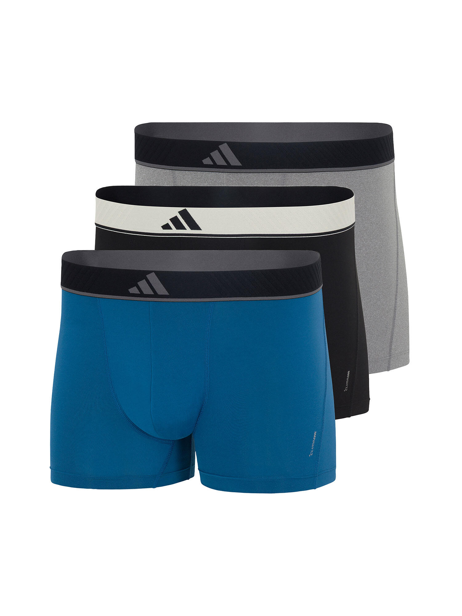 bunt / SCHWARZ / berlinerblau