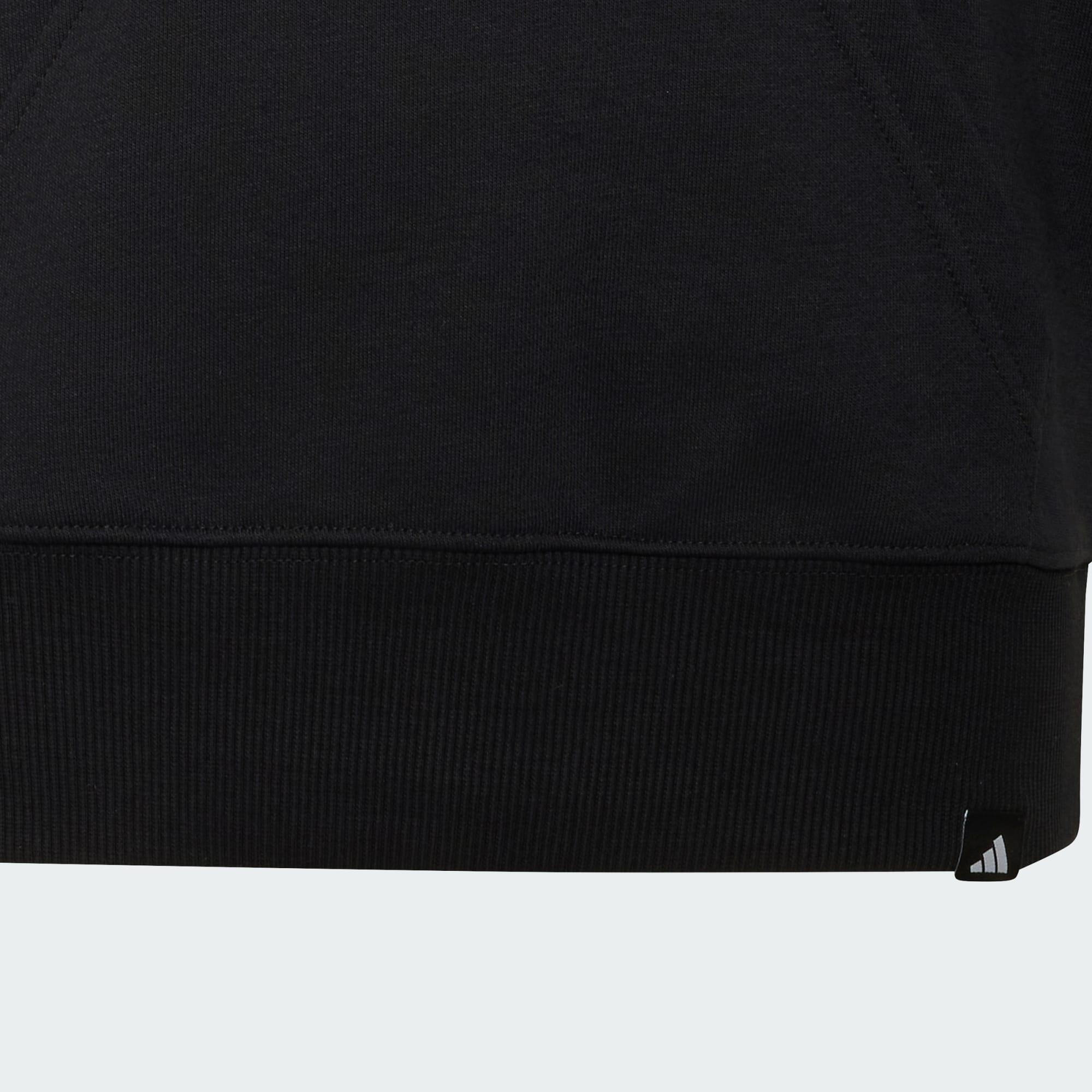 AUDI REVOLUT F1 TEAM GABRIEL BORTOLETO GRAPHIC III HOODIE 3/5