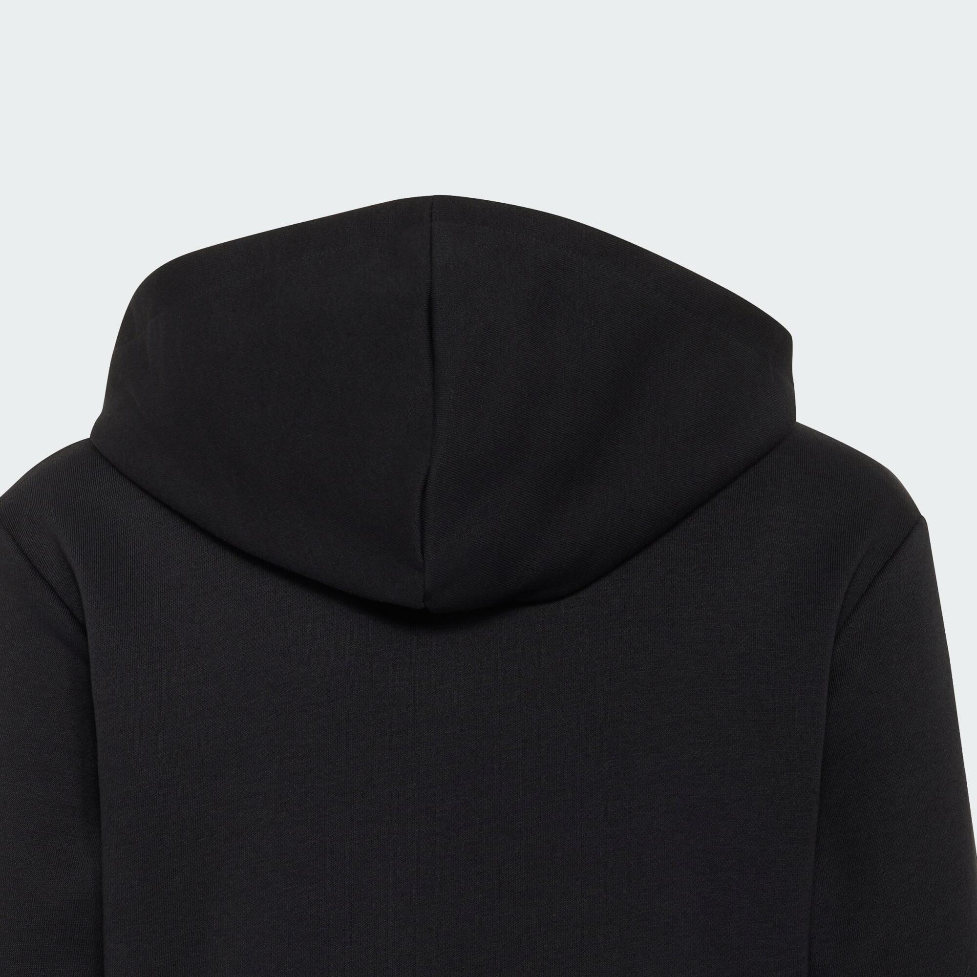 AUDI REVOLUT F1 TEAM GABRIEL BORTOLETO GRAPHIC III HOODIE 5/5