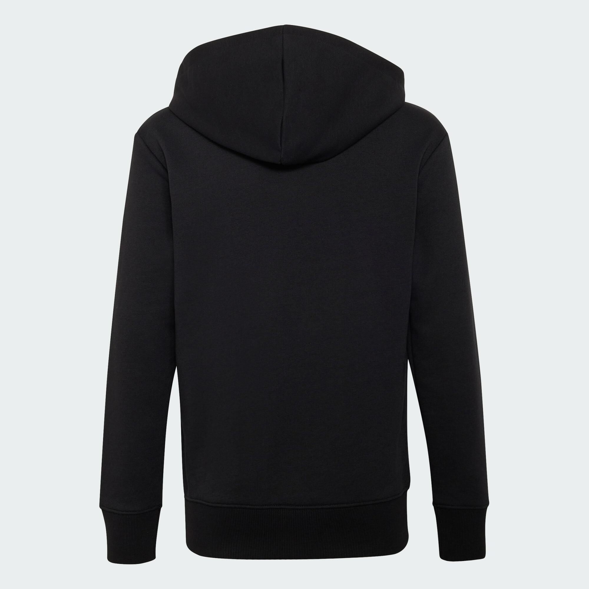 AUDI REVOLUT F1 TEAM GABRIEL BORTOLETO GRAPHIC III HOODIE 4/5