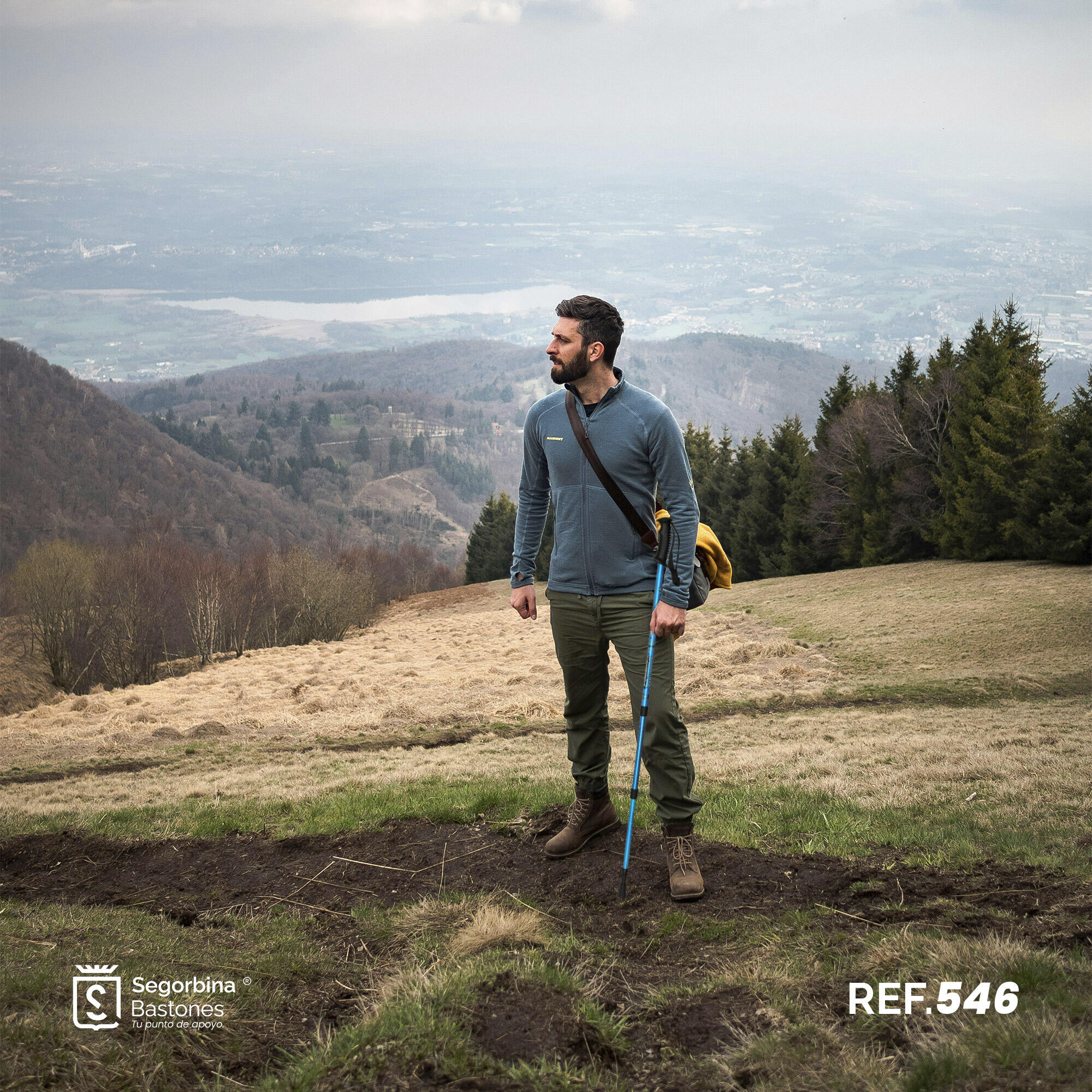 Trekkingstock Aluminium ausziehbar BLAU 65-135cm 7/7