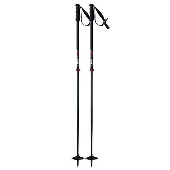 Kije narciarskie MAJESTY Freeride Alu 2p Telescopic