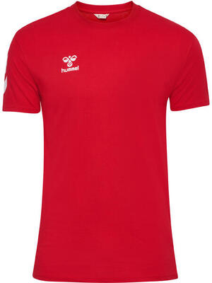 Instap t-shirt hmlgo heren