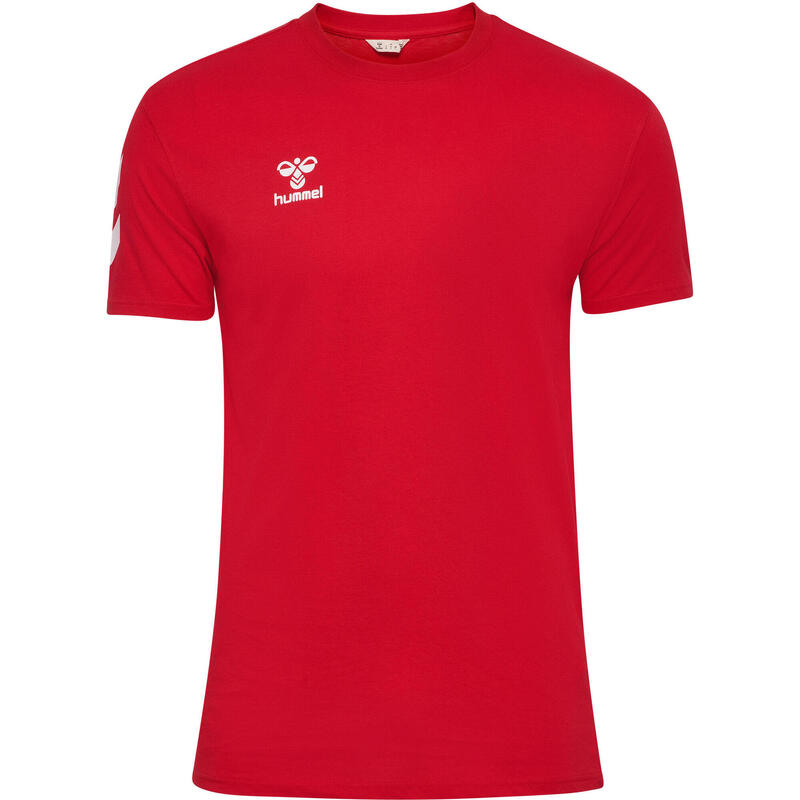 5551777f-f40e-4ea7-bc5d-a35837e79ec5_c85c221c61