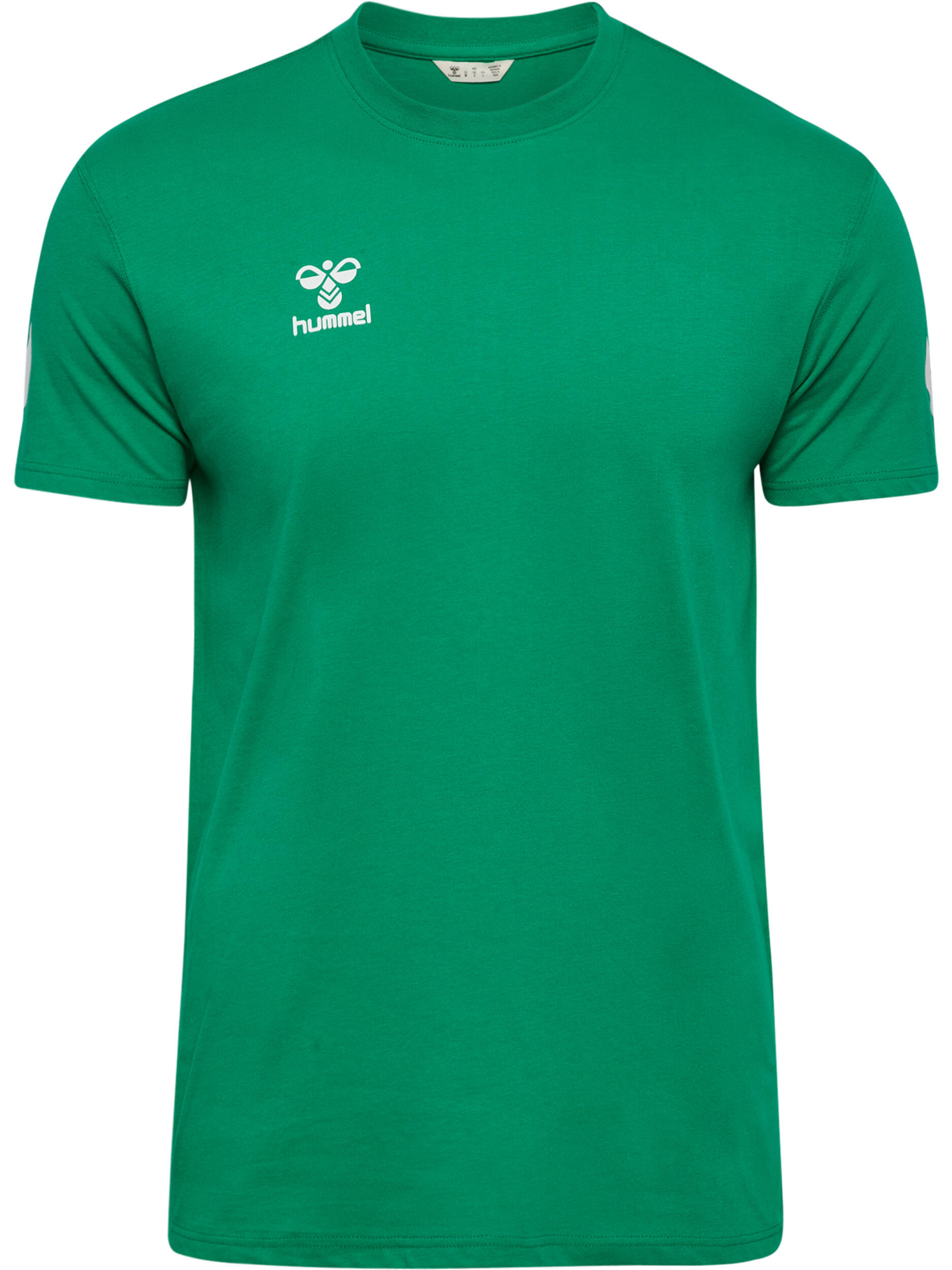 verde smeraldo / verde chiaro