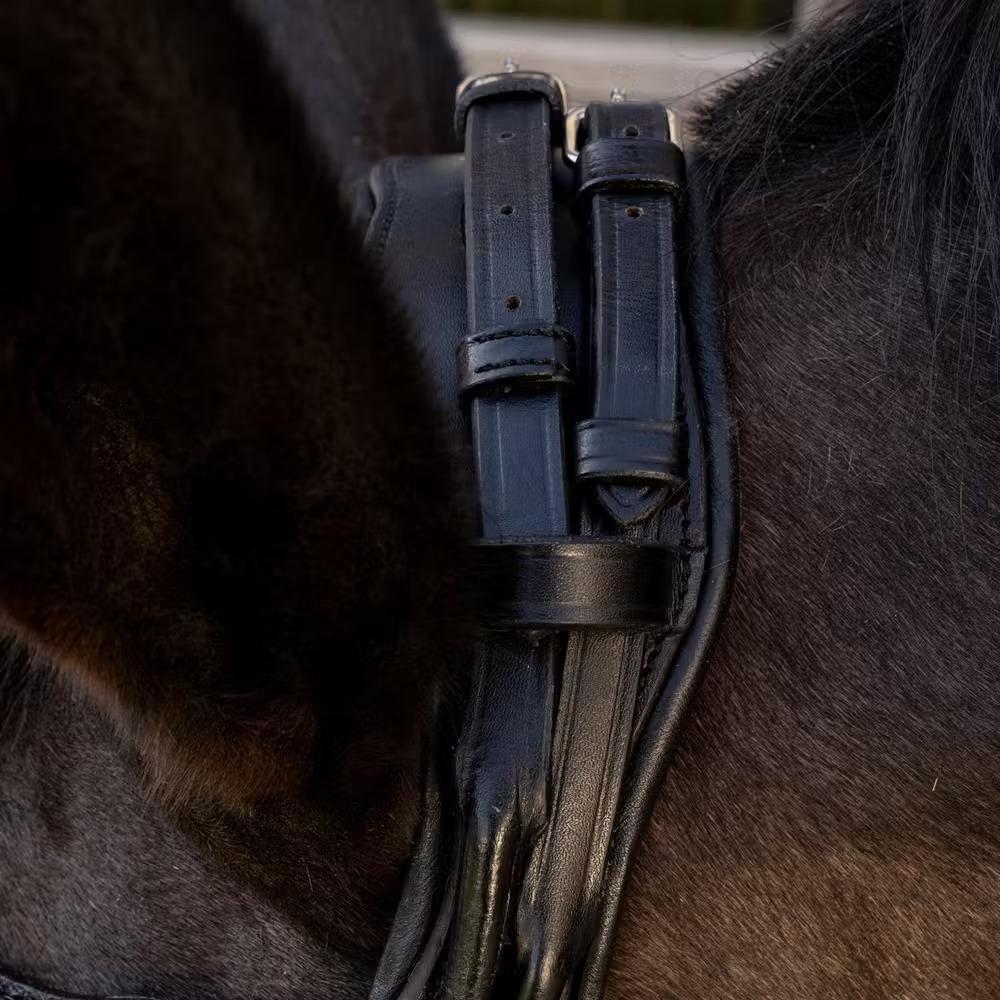 Bridon équitation Dy'on ComfoHead 3/6