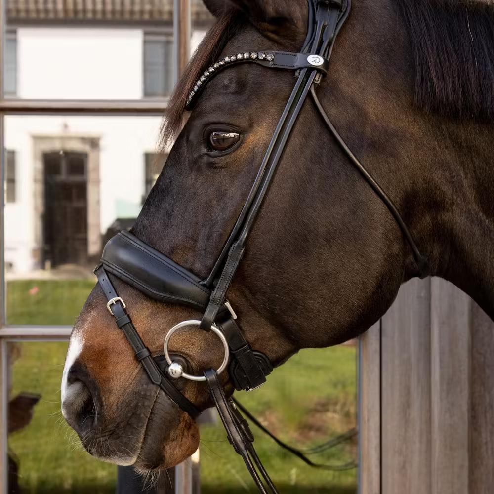 Bridon équitation Dy'on ComfoHead 2/6
