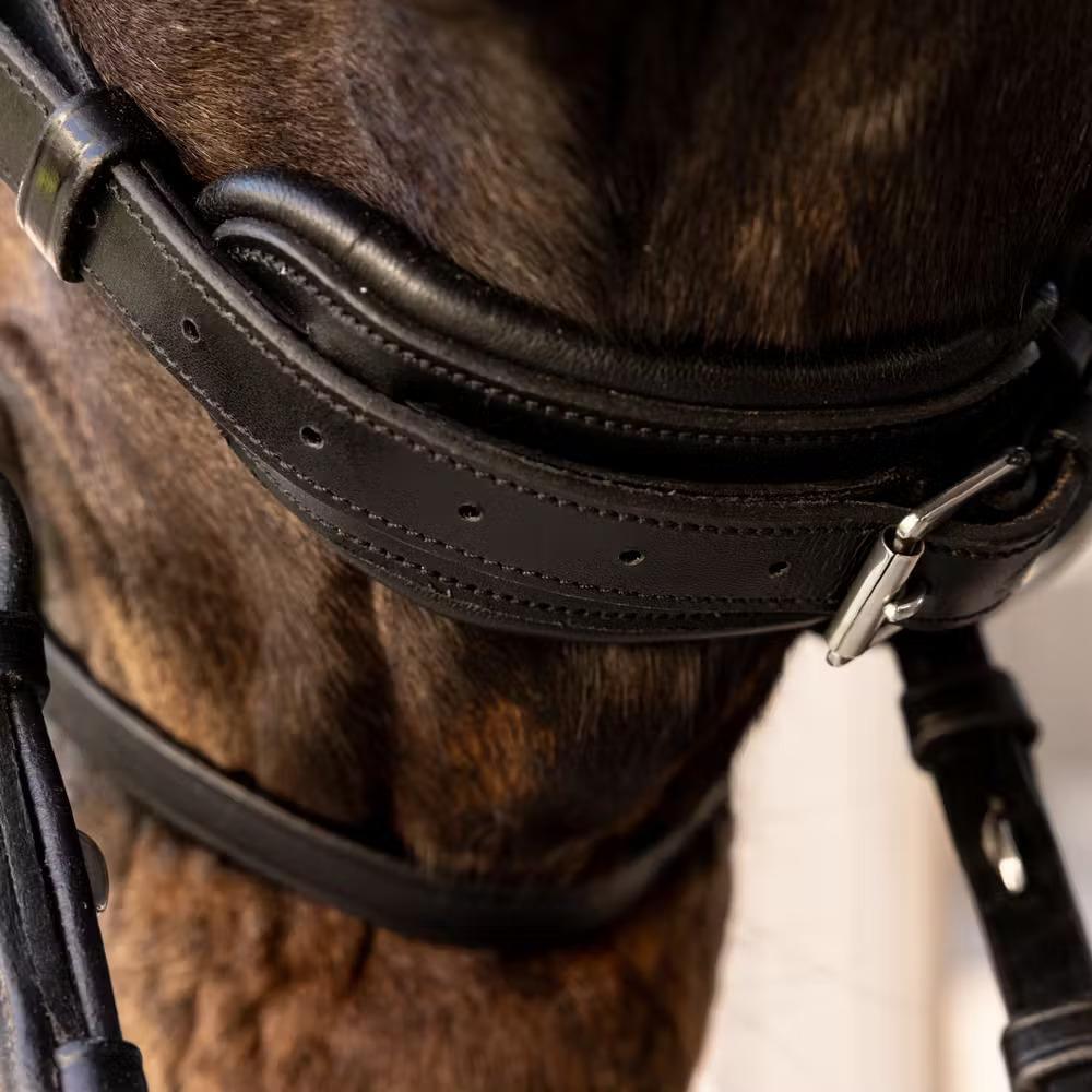 Bridon équitation Dy'on ComfoHead 5/6