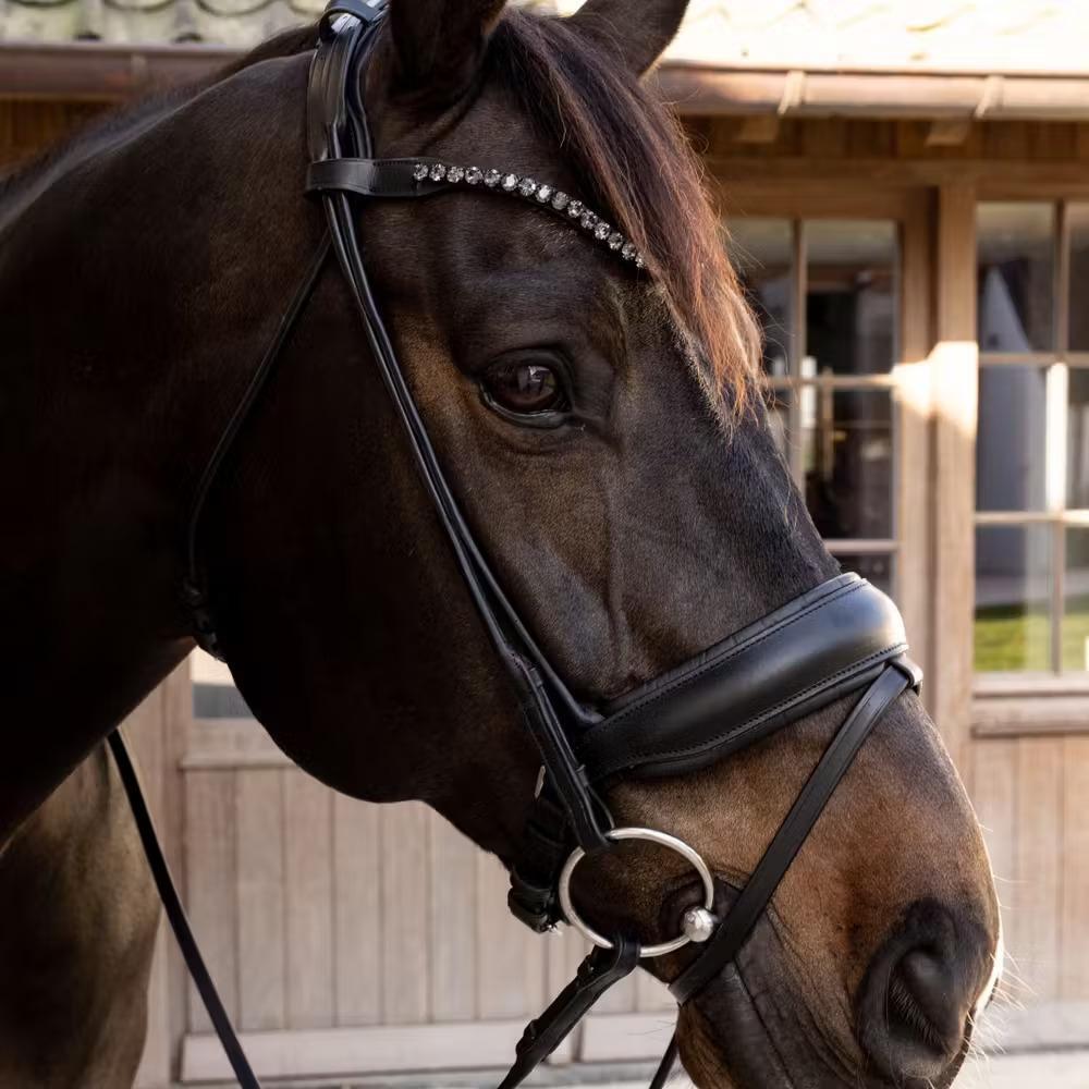 Bridon équitation Dy'on ComfoHead 4/6