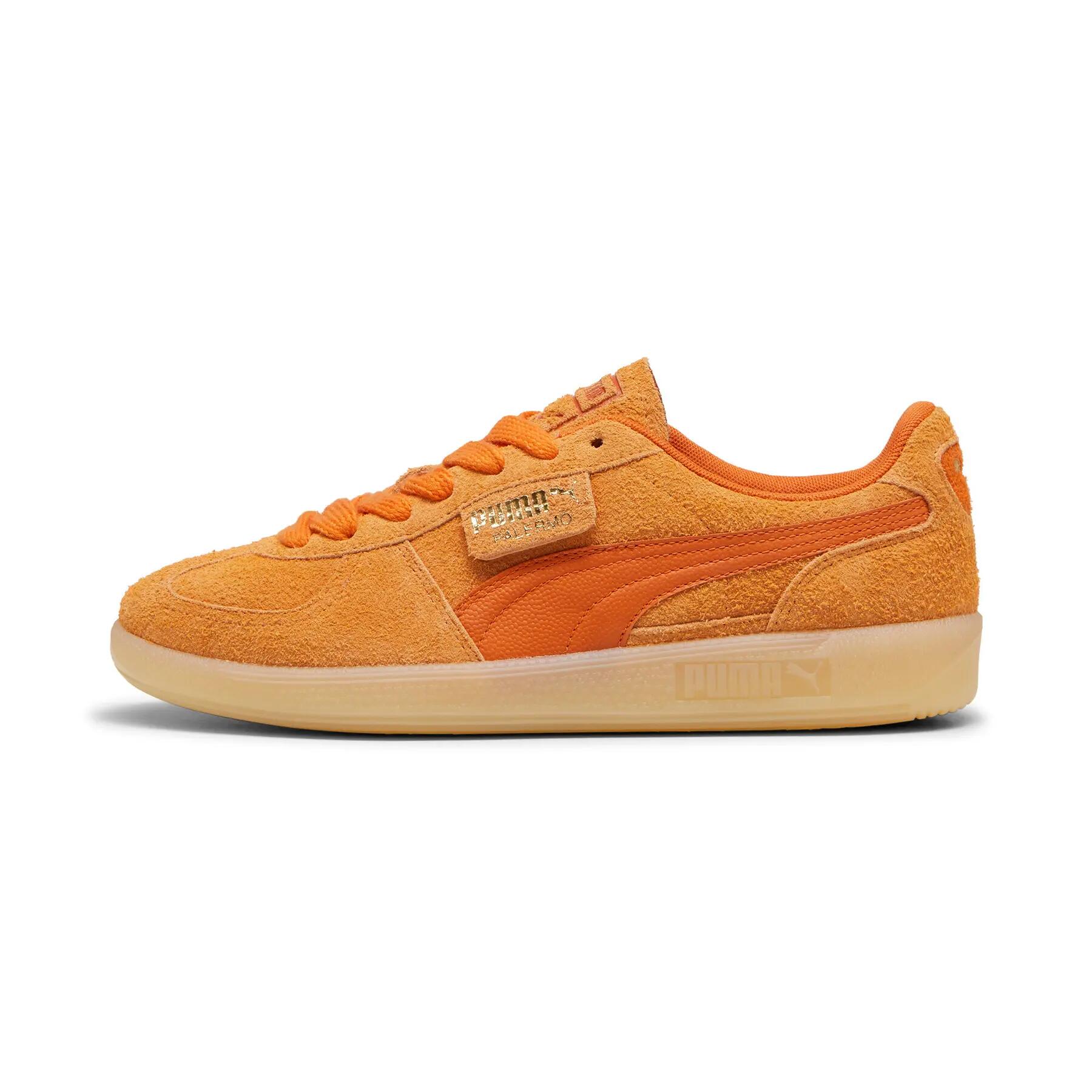 PUMA picture