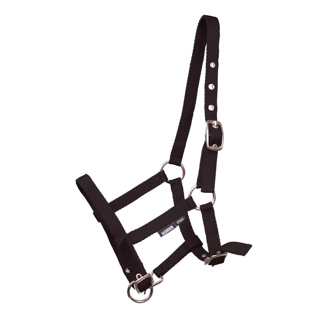 Foal headcollar HORKA