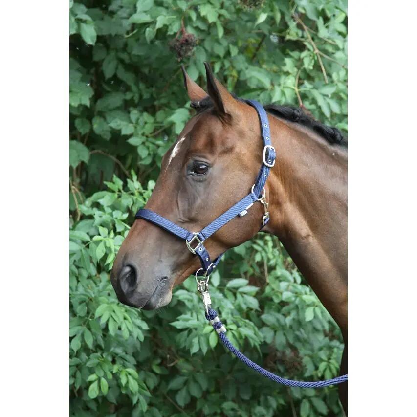 Licol pour cheval Horka Nubuck 2/2