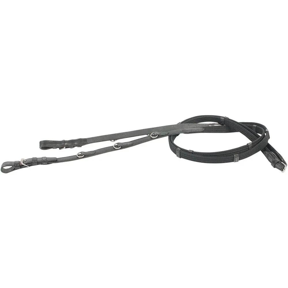 Thiedeman Oak Harry's Horse 2/2
