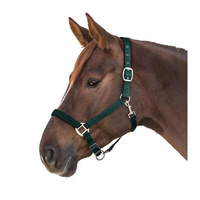 Satin ponyhoofdstel waldhausen