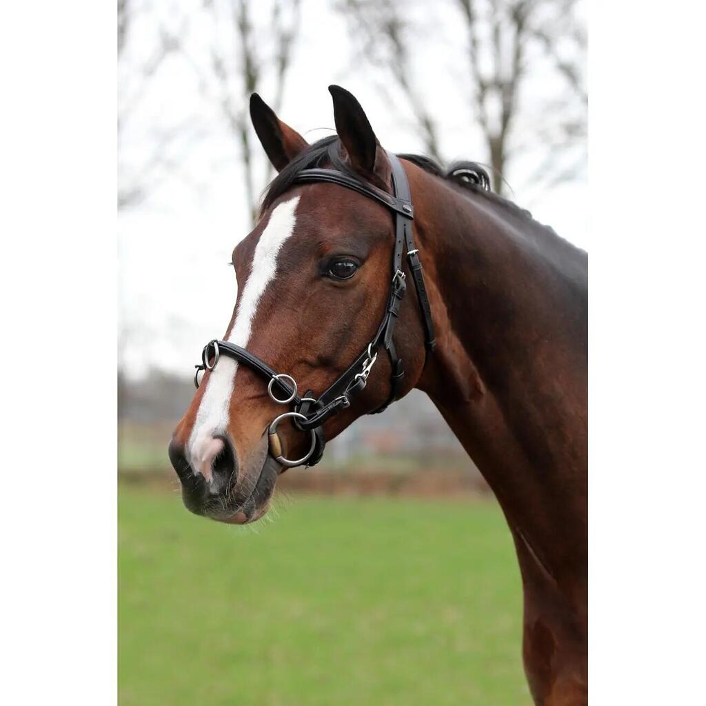 Noseband HORKA