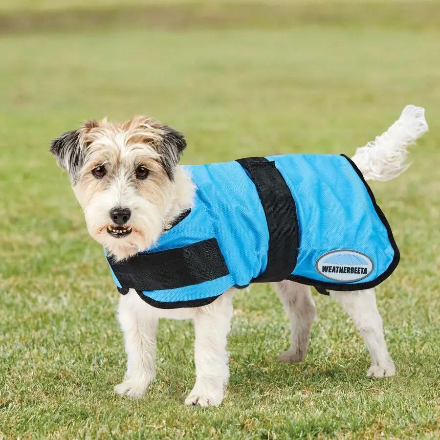 Cappotto rinfrescante per cani Weatherbeeta Therapy-Tec 3/4