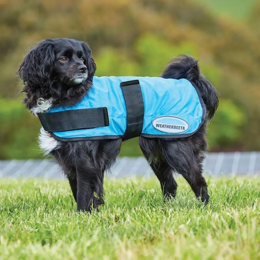 Cappotto rinfrescante per cani Weatherbeeta Therapy-Tec 2/4