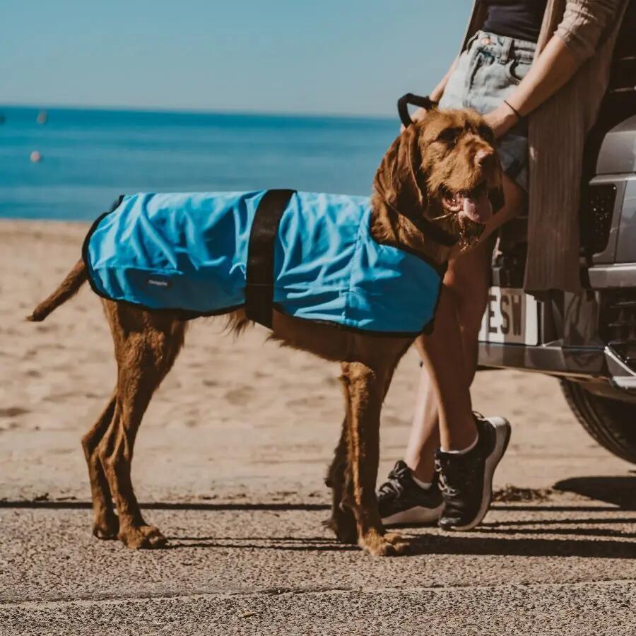 Cappotto rinfrescante per cani Weatherbeeta Therapy-Tec 4/4
