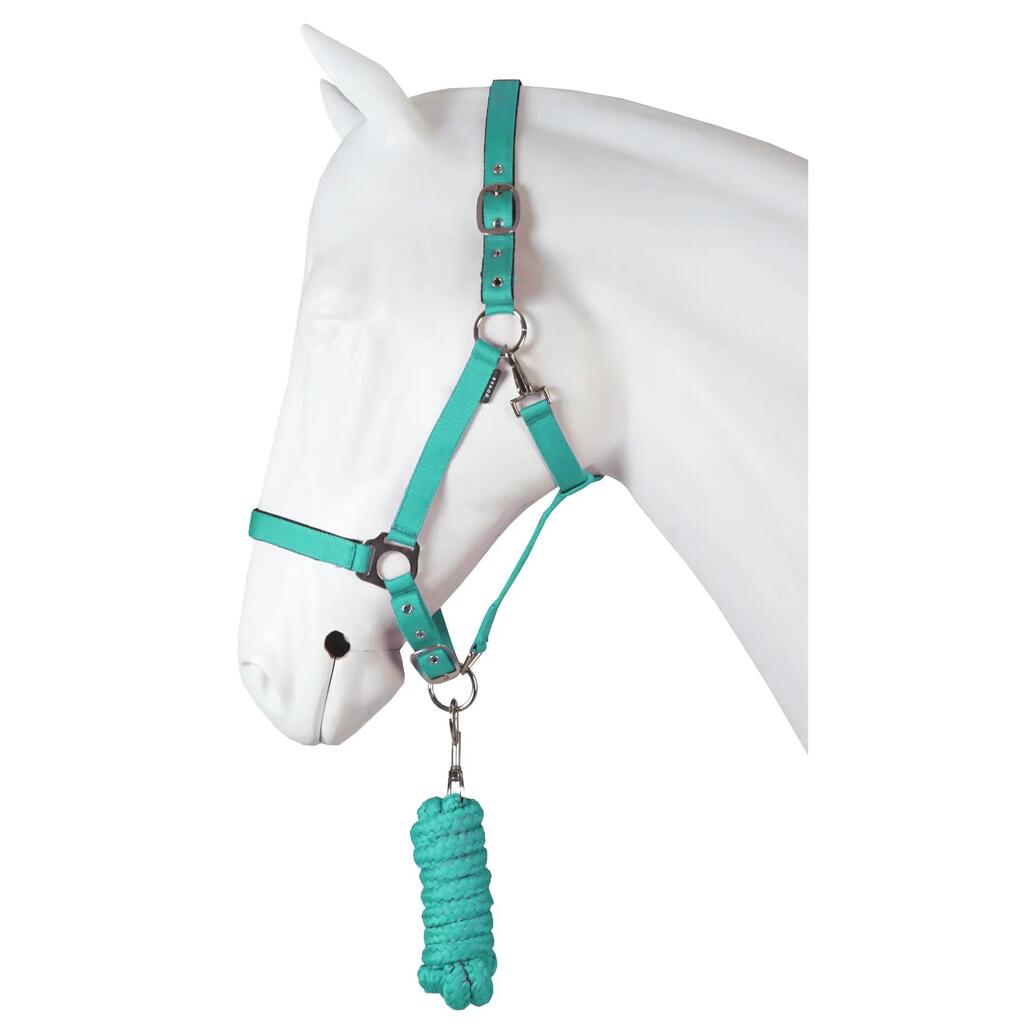 Dime horse halter set HORKA