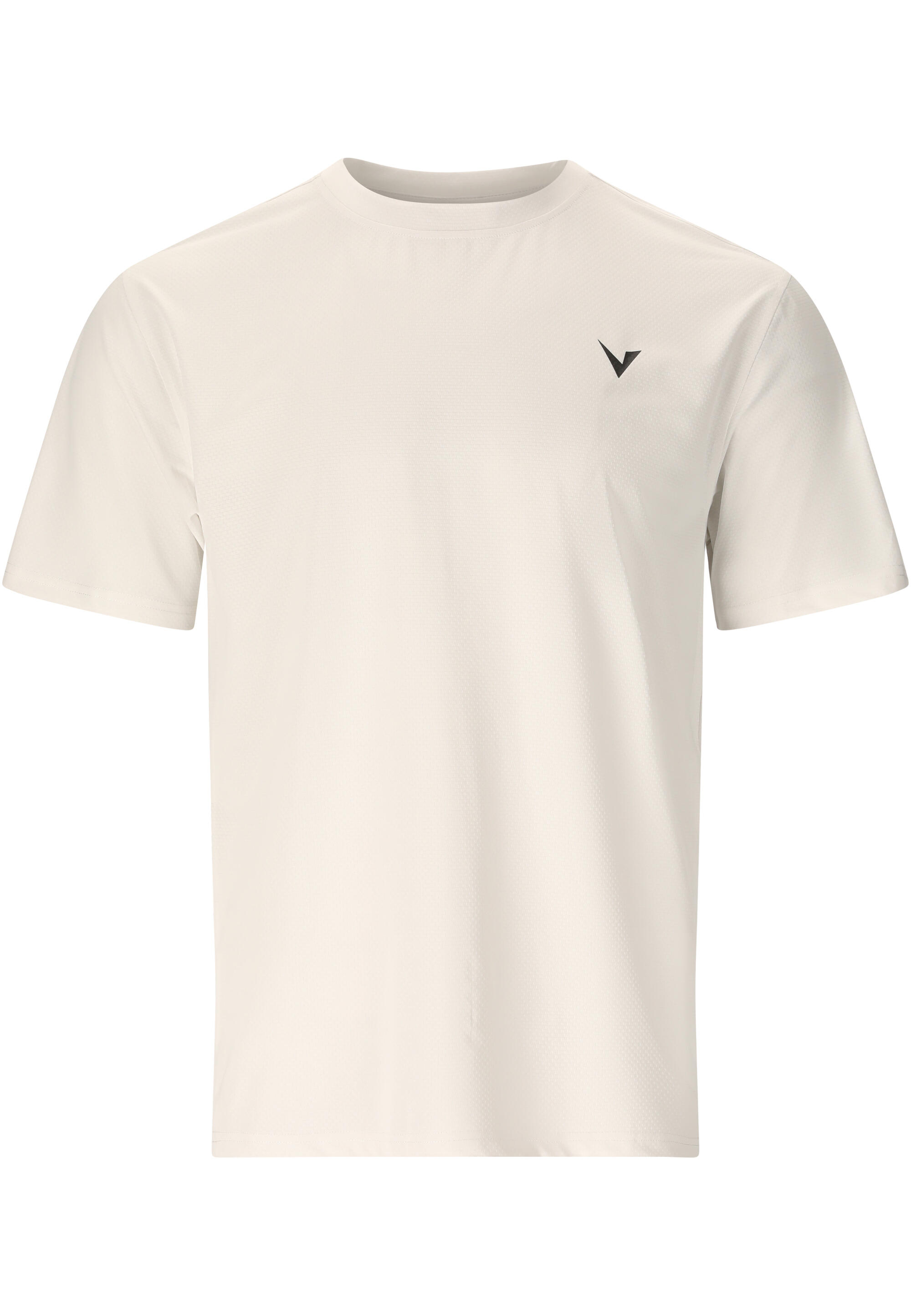 VIRTUS picture