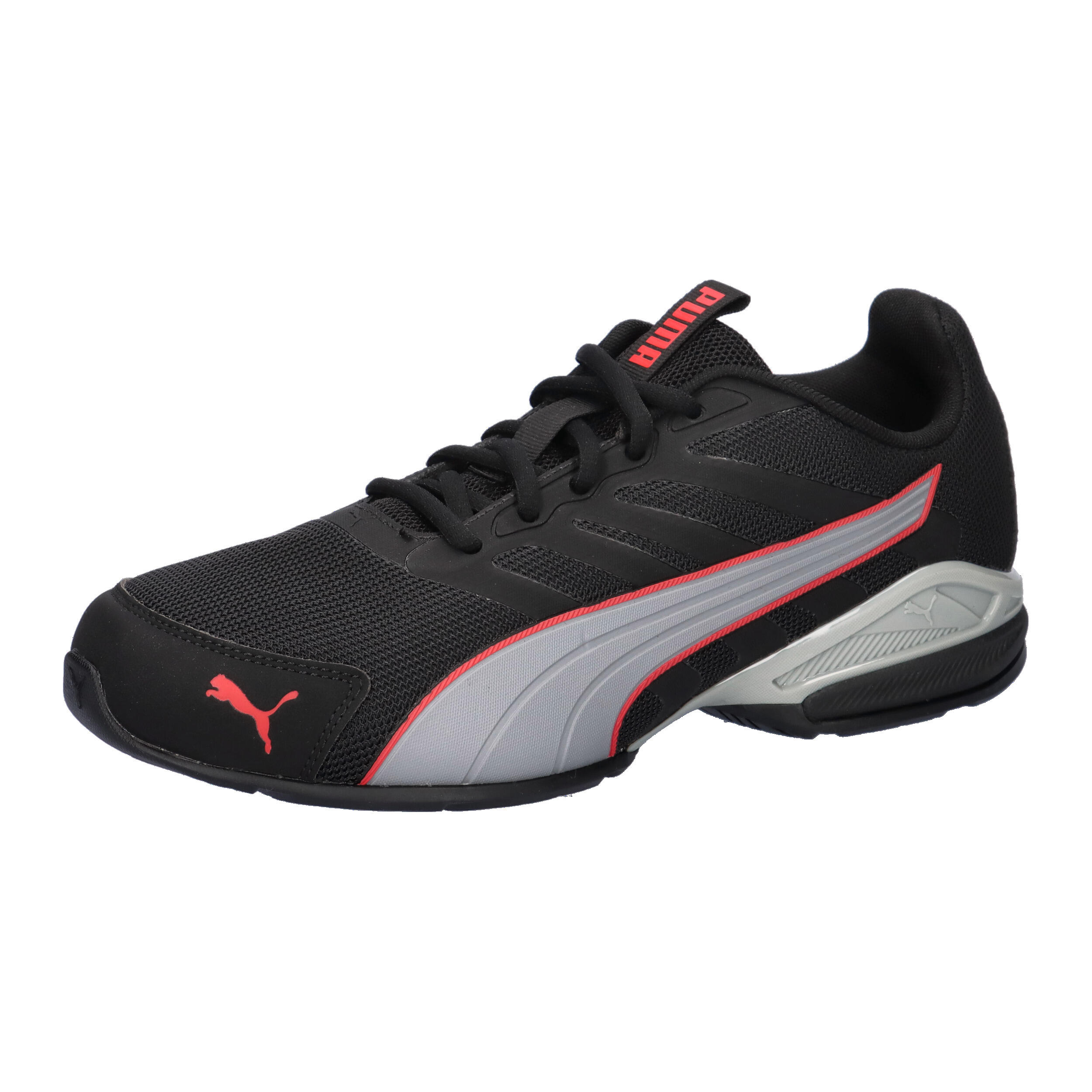 PUMA picture