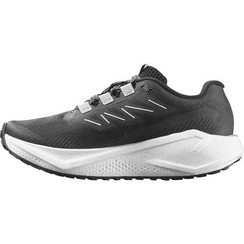Buty do biegania damskie Salomon Aero Blaze 3 GRVL 4/5