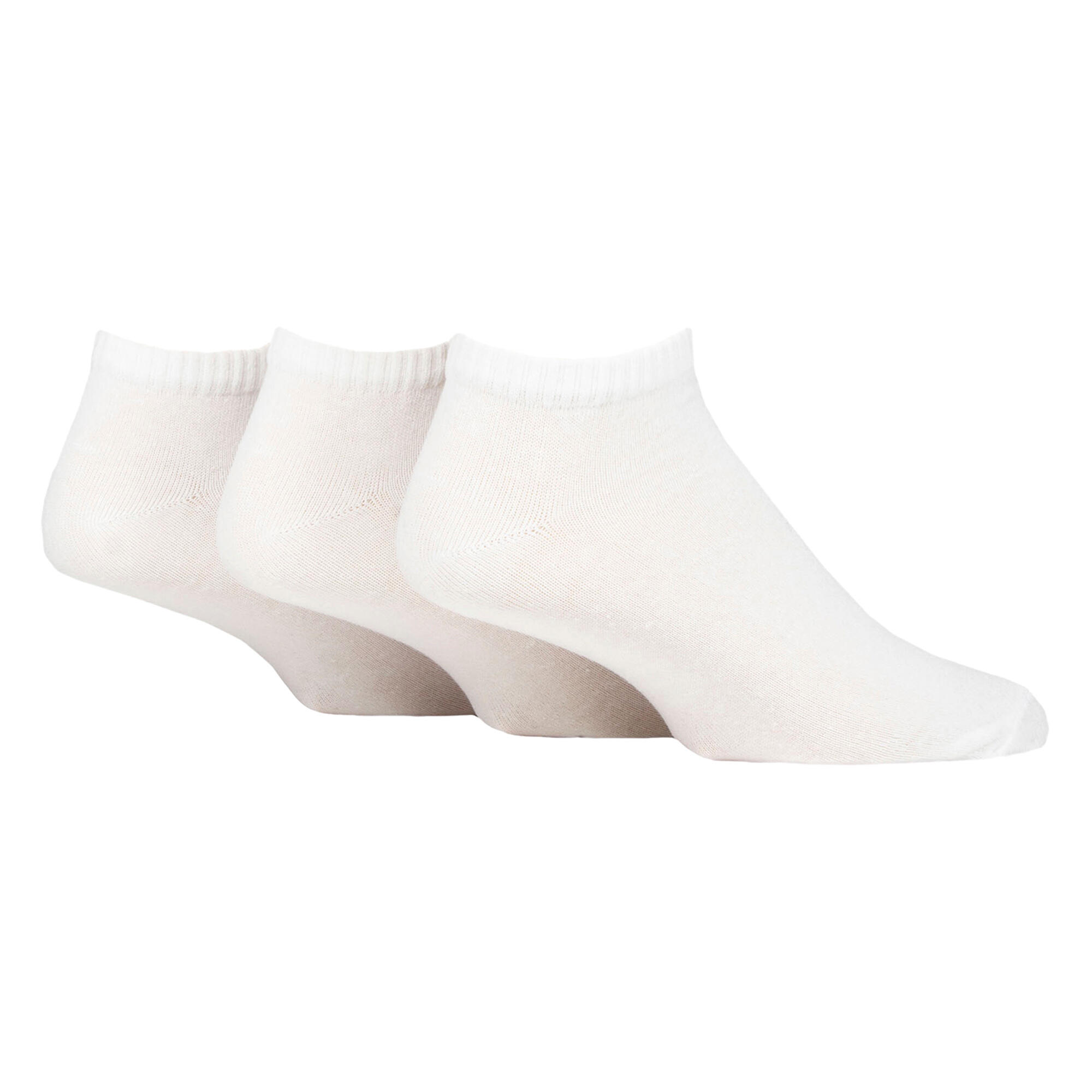 SOCKSHOP picture