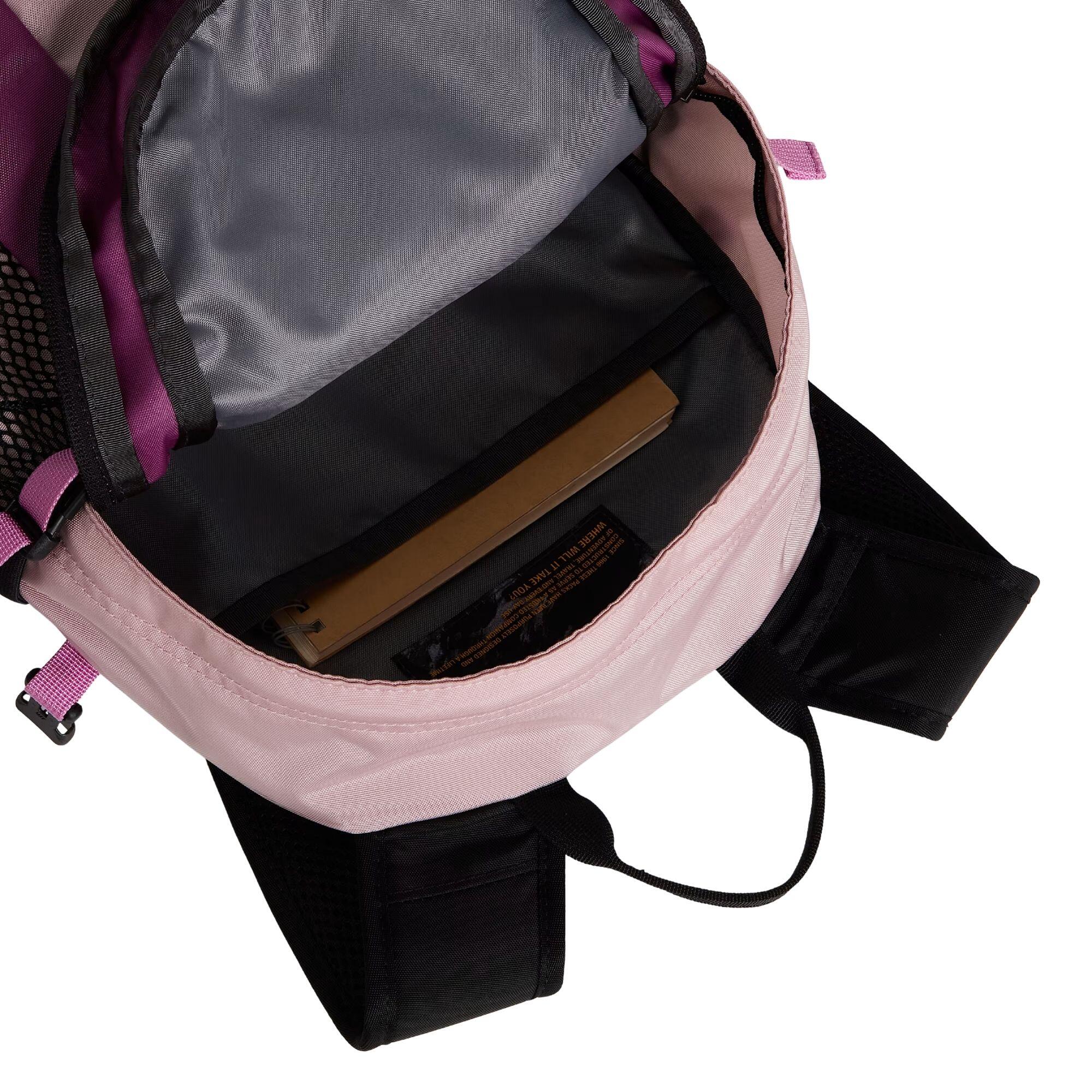 Rugzak Mini Hot Shot Roze - NF0A8GJJNP1 5/5