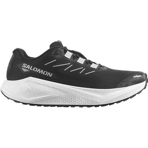 Buty do biegania męskie Salomon Aero Blaze 3 GRVL 1/1