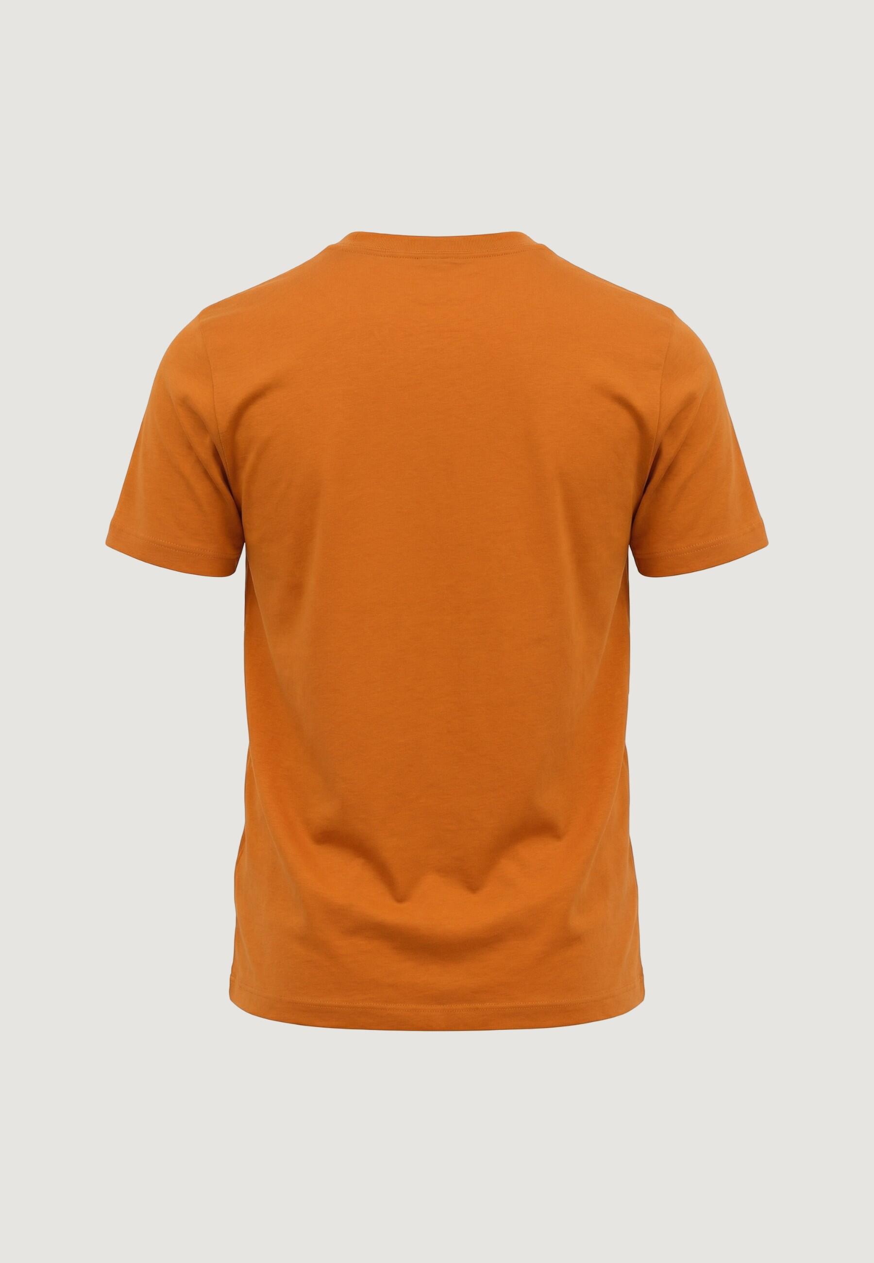 T-shirt maniche corte Uomo M EVOLUTION SIMPLE DOME REGULAR SHORT SL Arancione 4/5