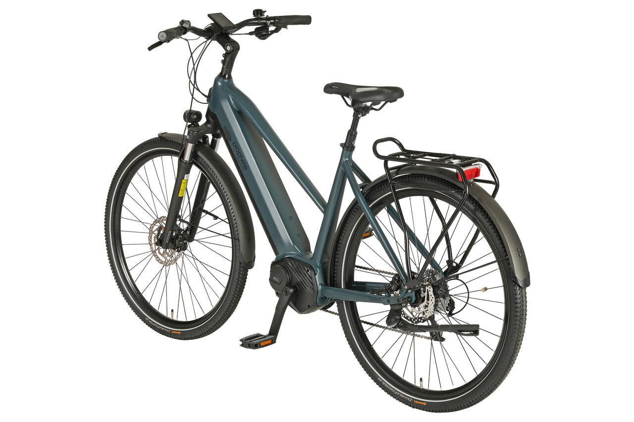 Prophete E-Bike Entdecker 4.8 28" Trapez RH50 7/7