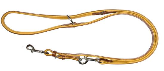 Laisse De Dressage Country En Cuir Pour Chien