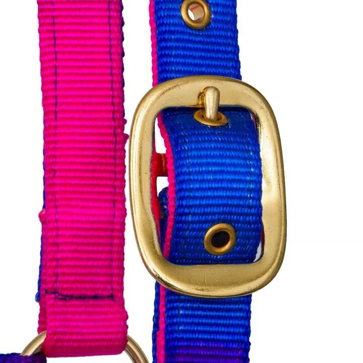 START Ombre veelkleurig halster voor paarden en pony's, met gouden details 3/5