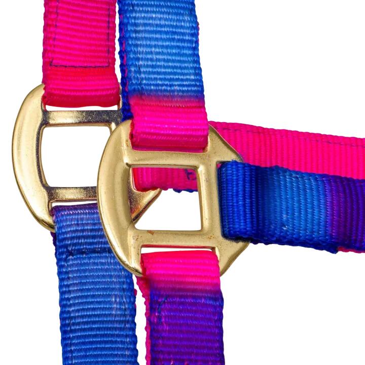 START Ombre veelkleurig halster voor paarden en pony's, met gouden details 2/5