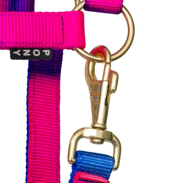 START Ombre veelkleurig halster voor paarden en pony's, met gouden details 5/5