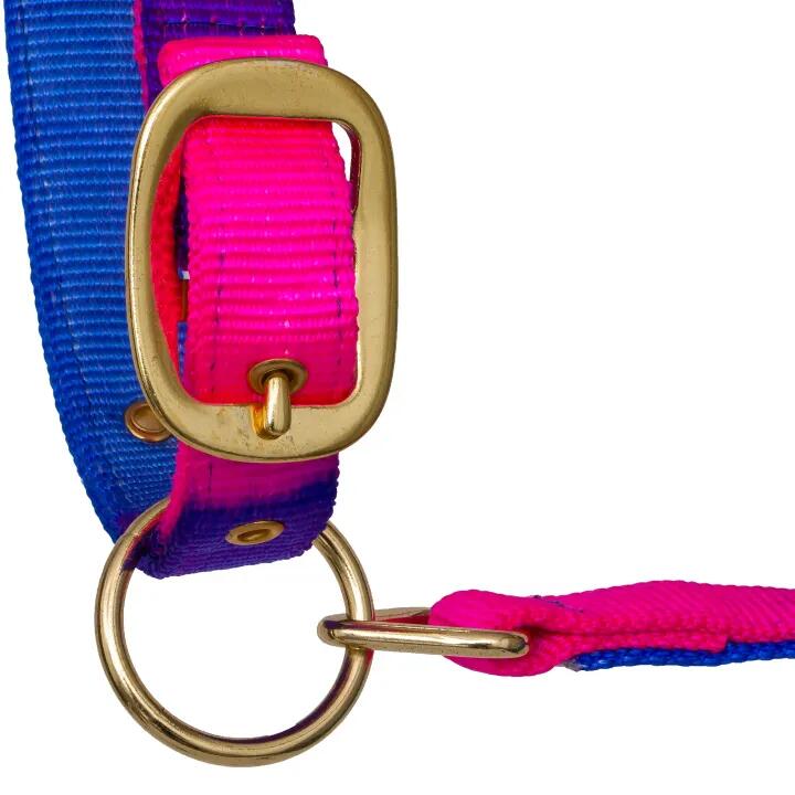 START Ombre veelkleurig halster voor paarden en pony's, met gouden details 4/5
