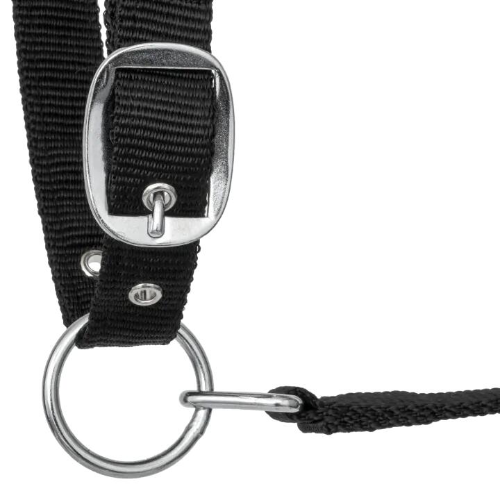 START PremiumDiamonds paarden- en ponyhalster, gevoerd, elegant 2/6
