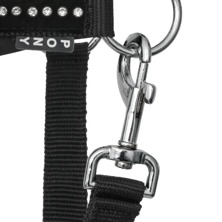 START PremiumDiamonds paarden- en ponyhalster, gevoerd, elegant 4/6
