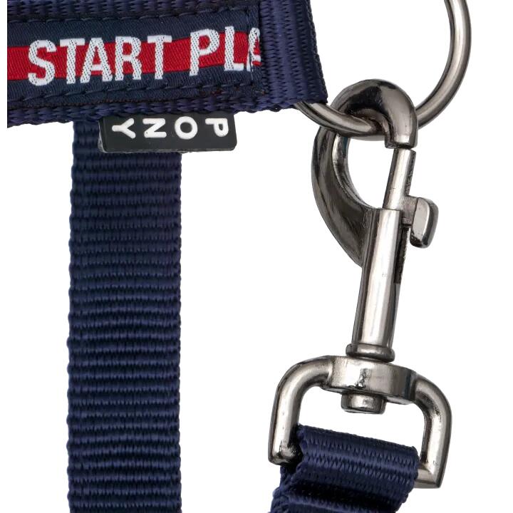 Căpăstru START StartPlay pentru cal și ponei, căptușit