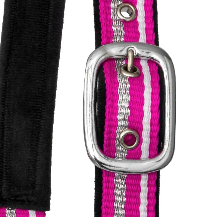 Halster voor pony's en paarden mini START ZariSilverMini gevoerd 5/5