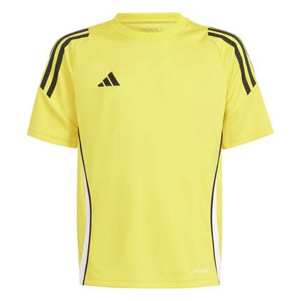 Koszulka Dziecko Adidas Tiro 24 żółty