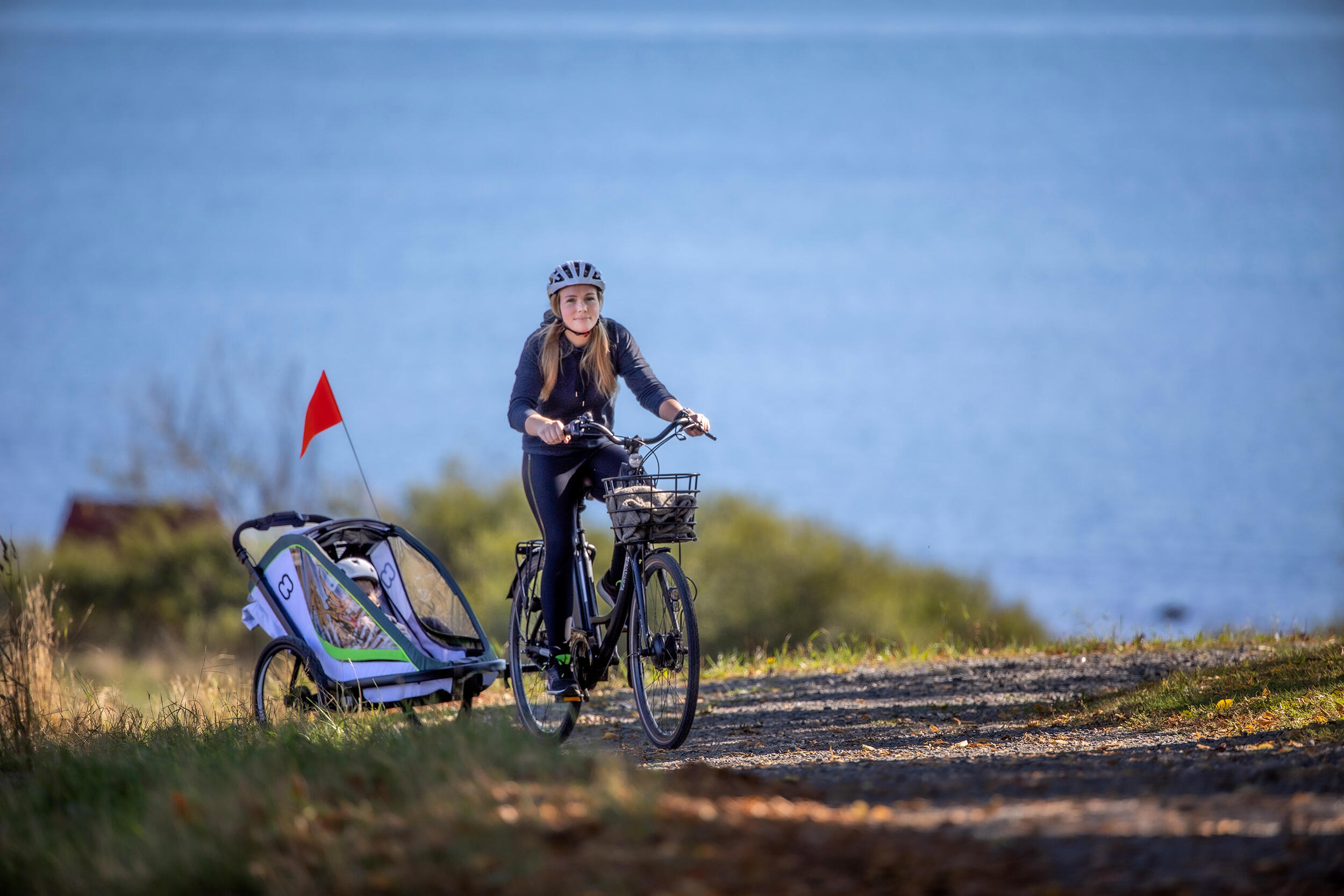 Hamax "Breeze One" remolque convertible para silla de paseo y bicicleta 4/7