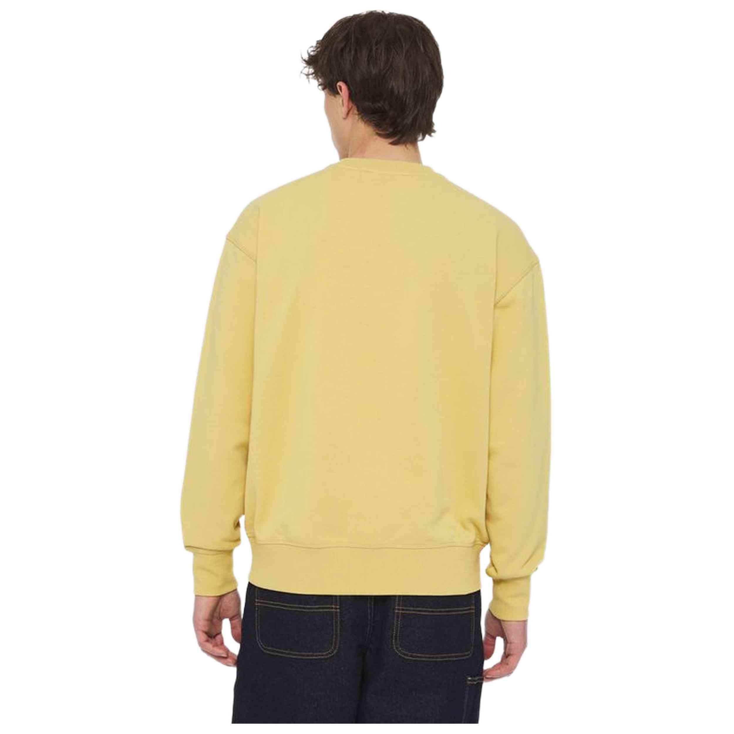 Sweat Dickies modèle DK0A4YLZH131 pour homme 2/2