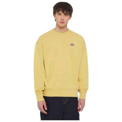 Sweater dickies model dk0a4ylzh131 voor mannen