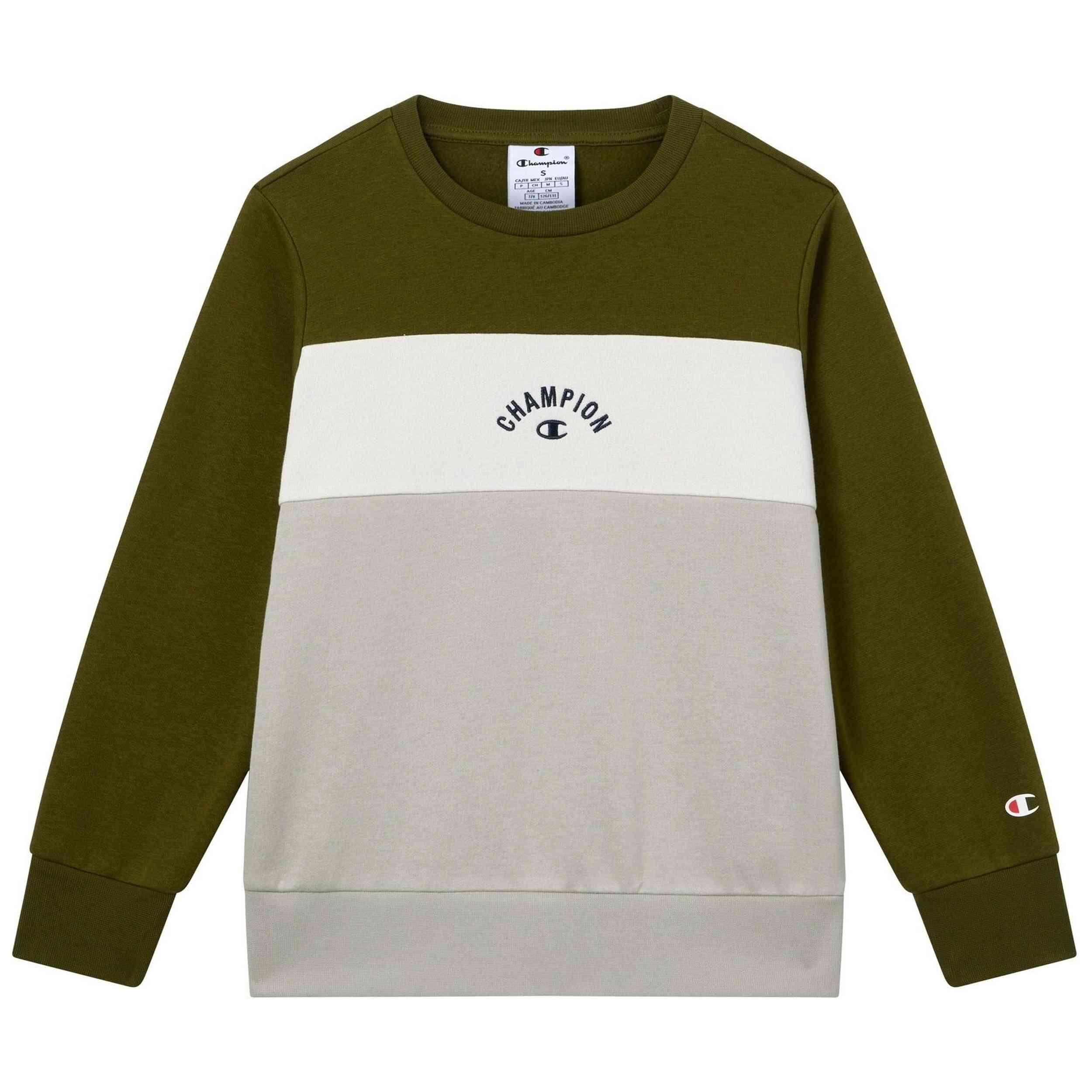 Sudadera Champion modelo 307304-GS585 para niños 4/4