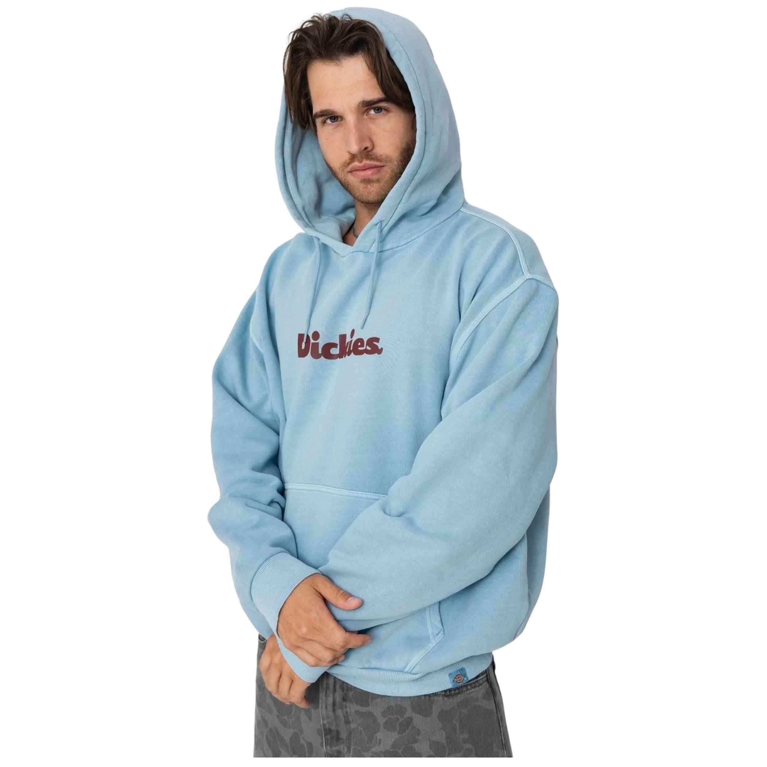 Sweat à capuche Dickies modèle DK0A87NPK661 pour homme 2/4