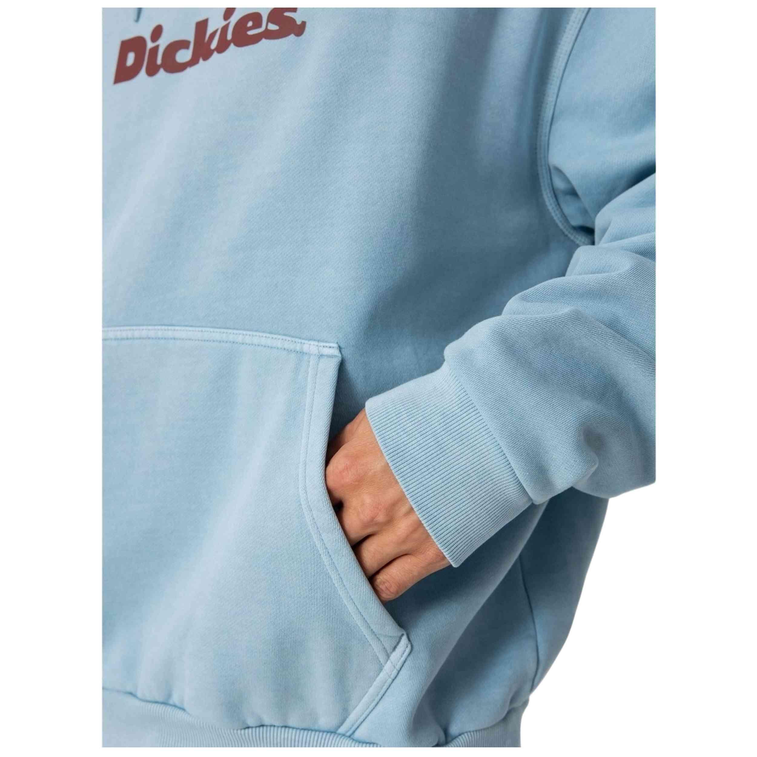 Sweat à capuche Dickies modèle DK0A87NPK661 pour homme 4/4